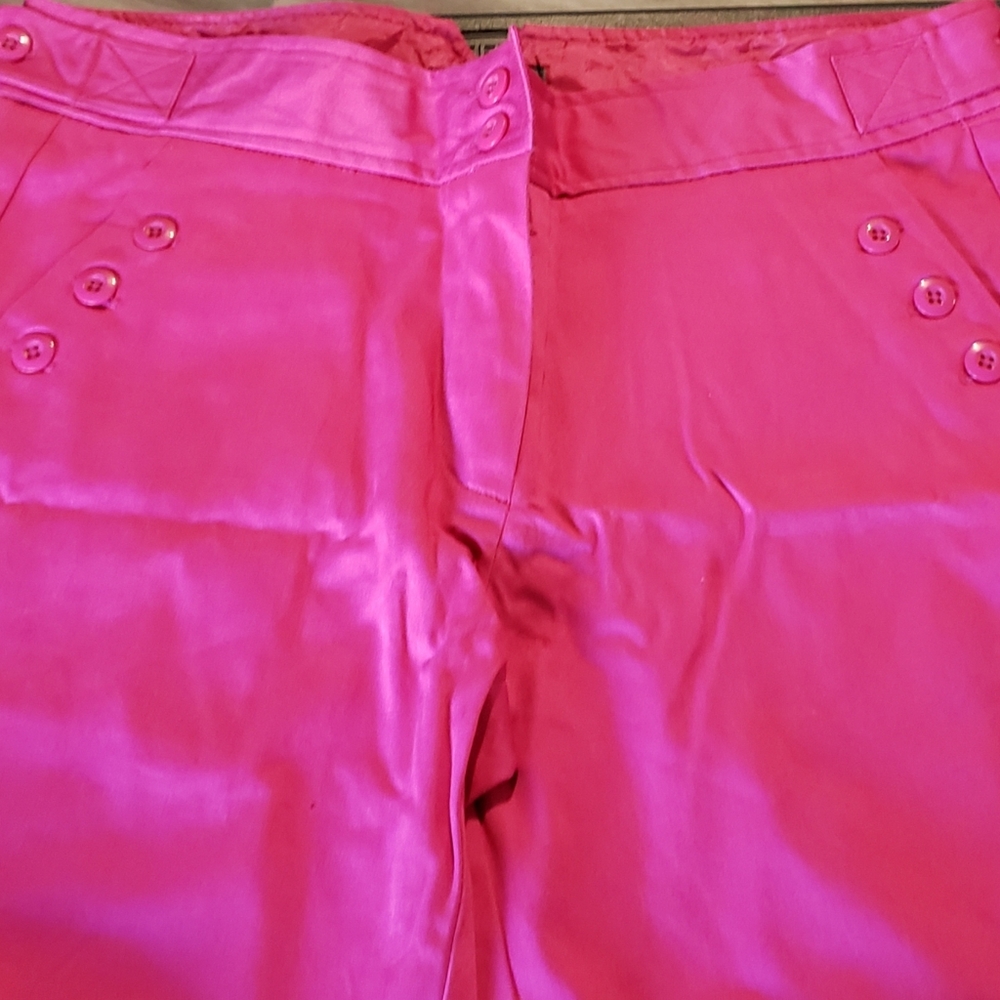 The Limited Hot Pink Shorts